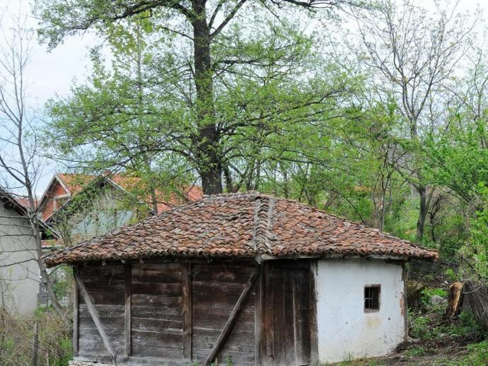Апартаменти Bistricki Mir 1 Петровац-на-Млаві Екстер'єр фото