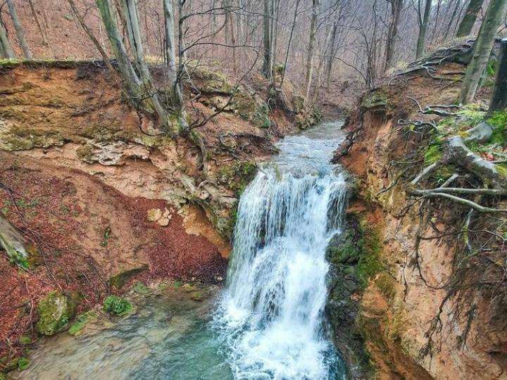 Апартаменти Bistricki Mir 1 Петровац-на-Млаві Екстер'єр фото